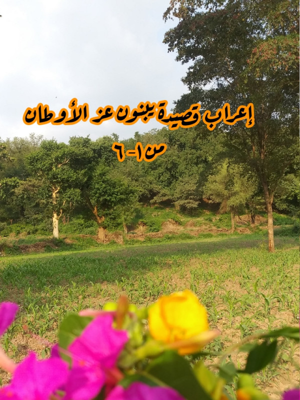 إعراب قصيدة يبنون عز الأوطان من ١- ٦