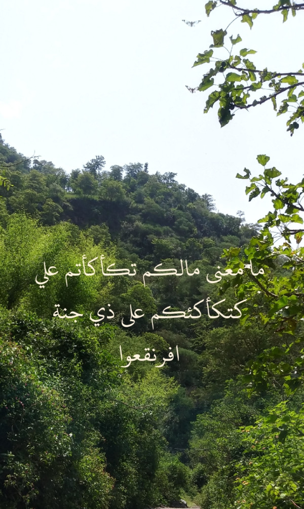 مامعنى مالكم تكأكأتم علي كتكأكئكم على ذي جنة افرنقعوا؟