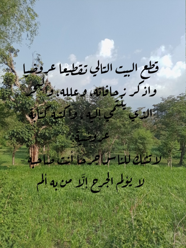 قطع البيت التالي تقطيعها عروضيا لا تشك للناس جرحا أنت صاحبه