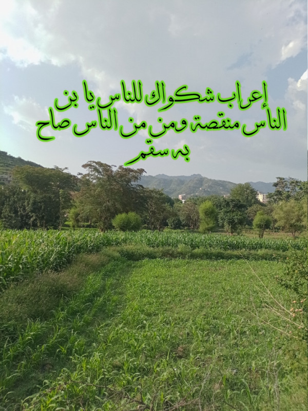 إعراب شكواك للناس يا بن الناس منقصة ومن من الناس صاح به سقم