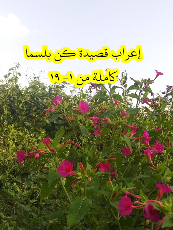 إعراب قصيدة كن بلسما كاملة من ١- ١٩